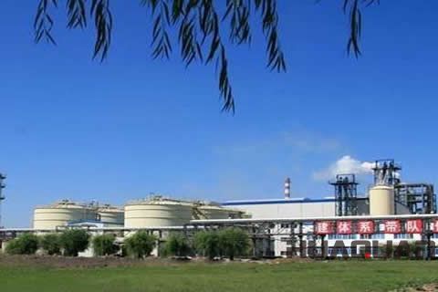 『隨華全，觀天下』 ——走進綏化