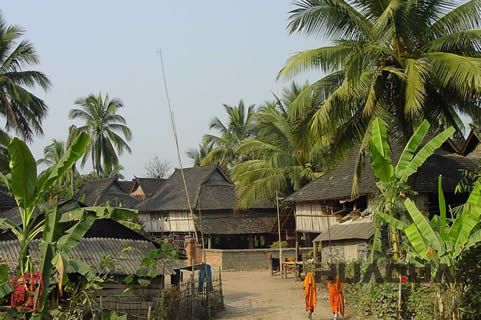 『隨華全，觀天下』 ——走進勐海