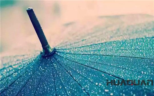 五月的雨，灑遍濰坊，鮮活了一座城，清新了城里的華全人