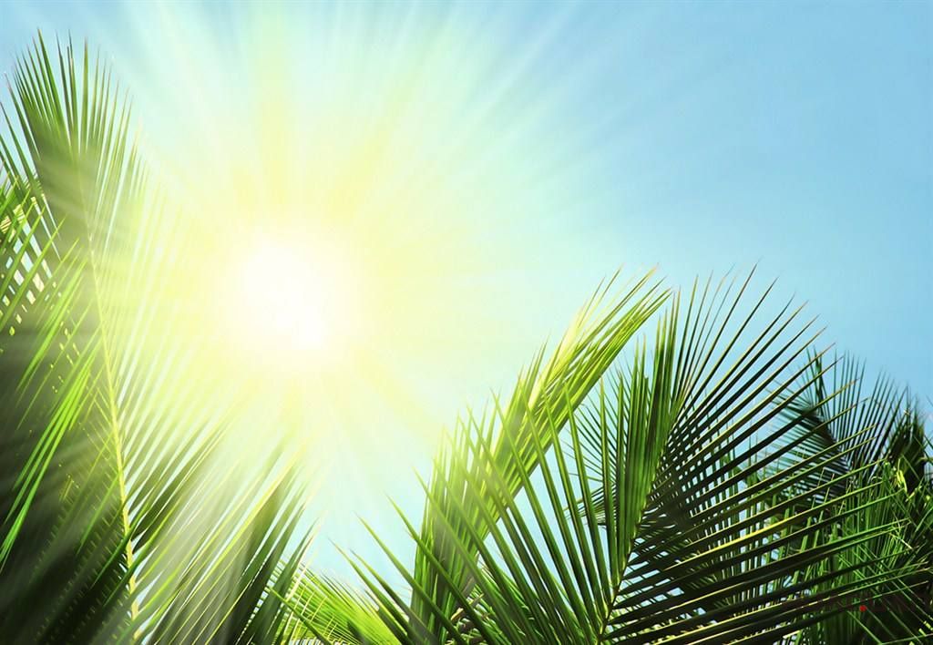 “刻毒”夏季帶你體會“烈日灼心”，華全動力為你送去清涼一夏